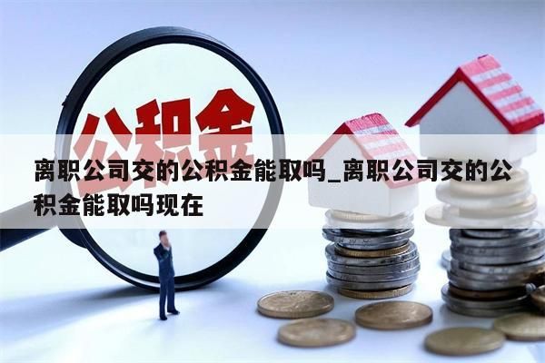 离职公司交的公积金能取吗_离职公司交的公积金能取吗现在